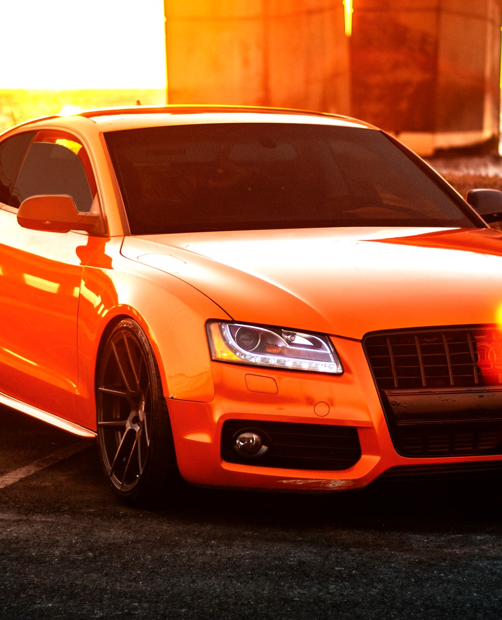 Automotive Window Tint